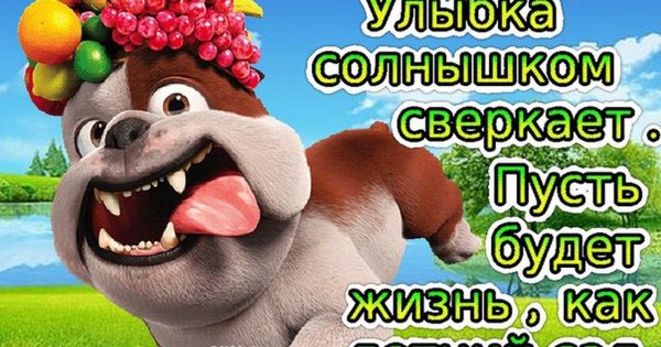 Прикольные пожелания