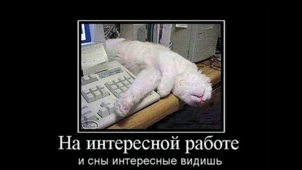 Веселые картинки про работу