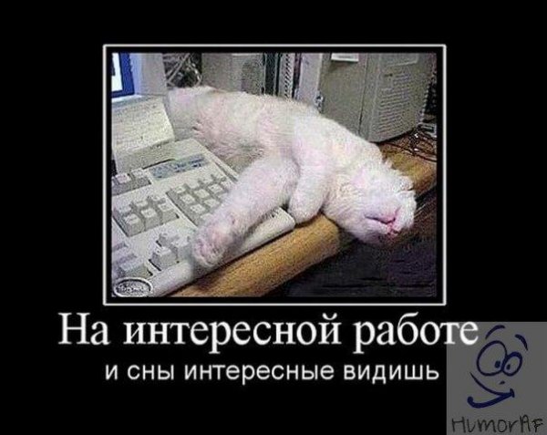 Веселые картинки про работу