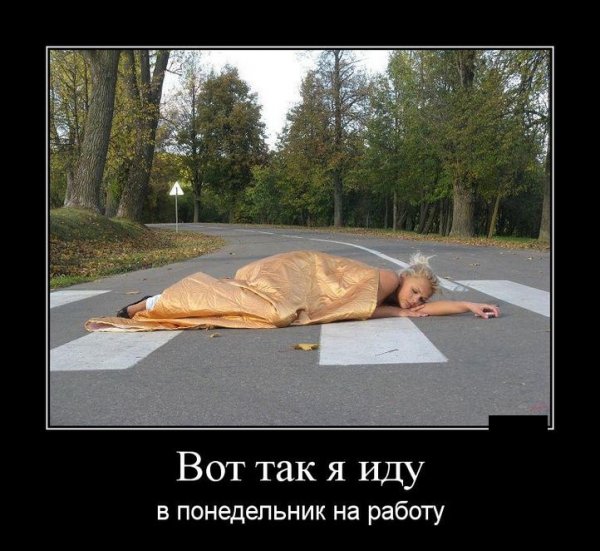 Понедельник приколы