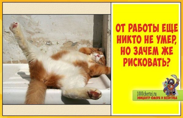 Шуточные картинки про работу
