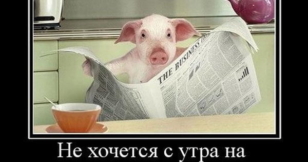 Юмор в картинках про работу