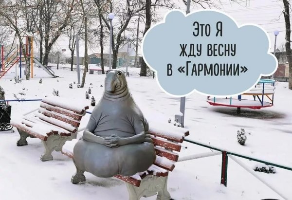 Невеста с гармонью в поле