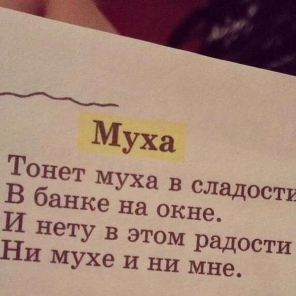 Смешные стихи про муху