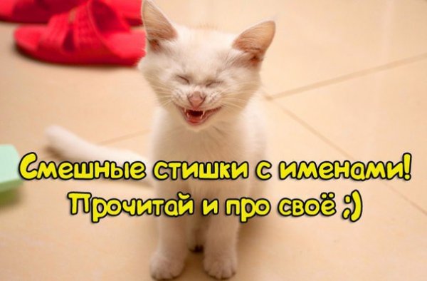 Самые самые смешные стихи