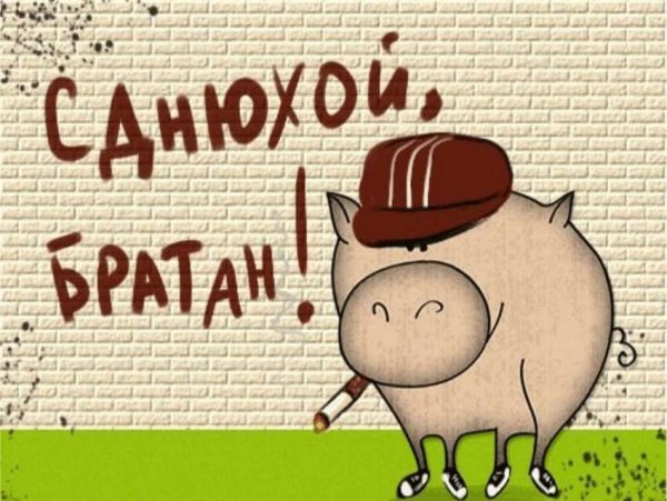 Картинки с днём рождения брату прикольные