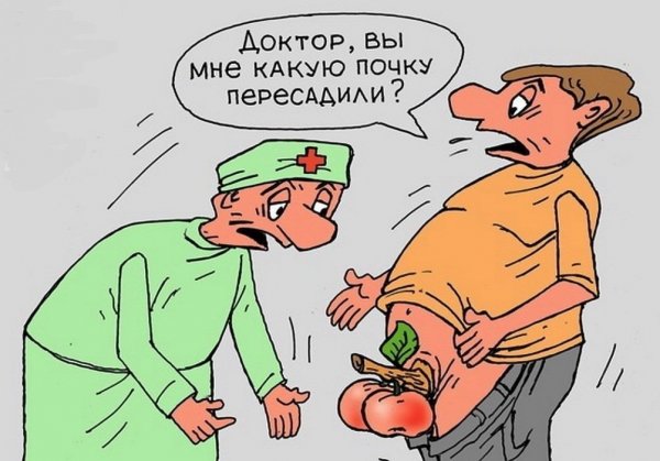 Анекдоты про докторов в картинках
