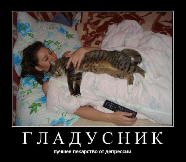 Мемы про таджиков