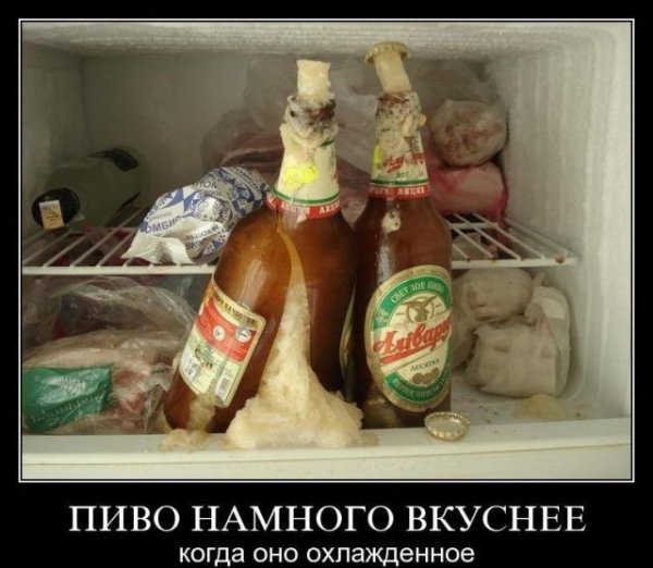 Пиво юмор