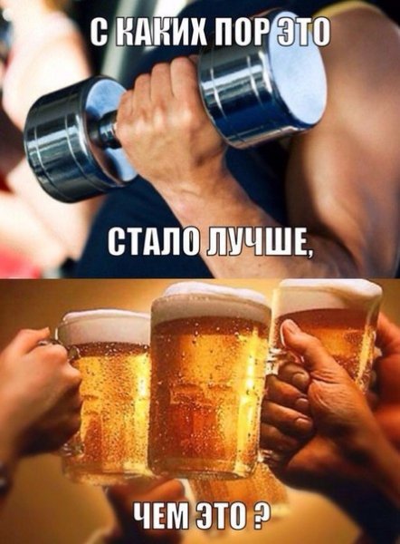 Приколы мемы про пиво