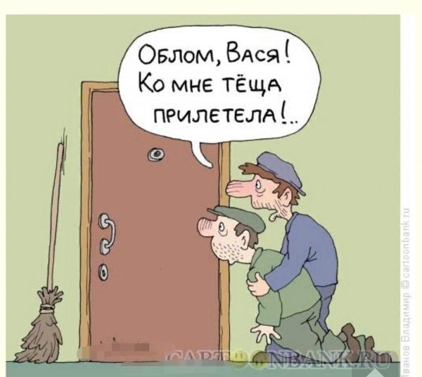 Теща карикатура