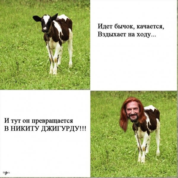 Шутки про Никиту смешные