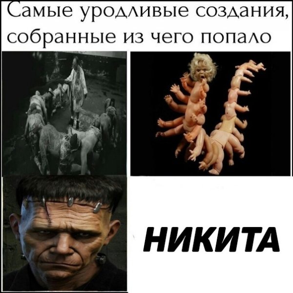 Шутки про Никиту смешные