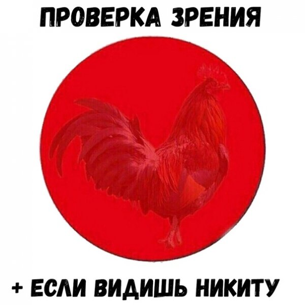 Мемы про Никиту