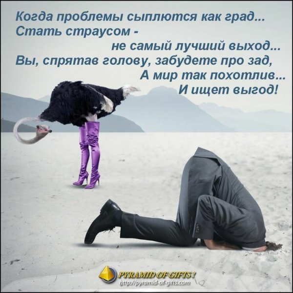 Смешные афоризмы