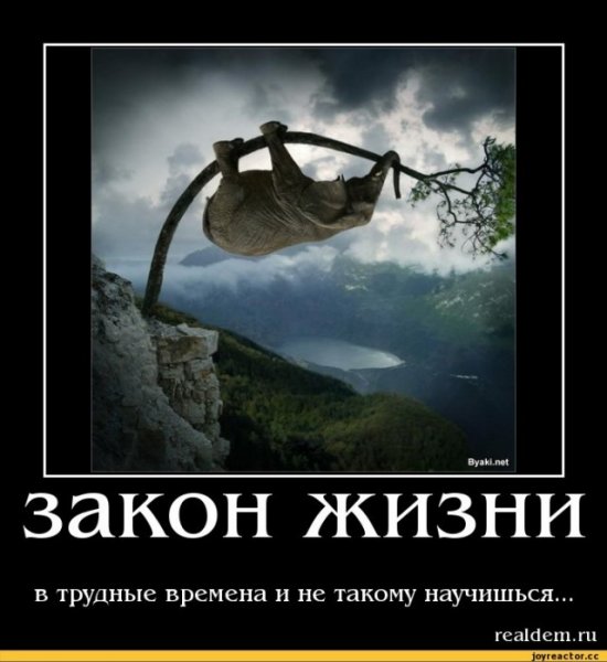 Смешные рисунки со смыслом