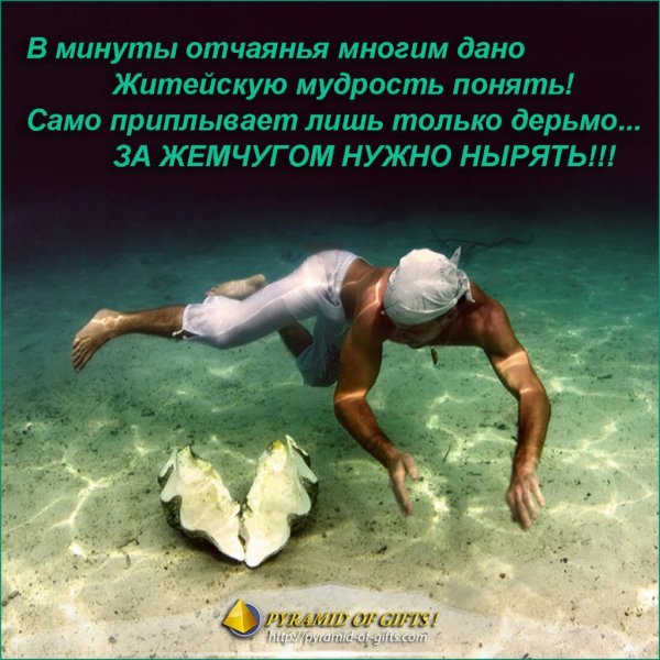 Философские высказывания смешные