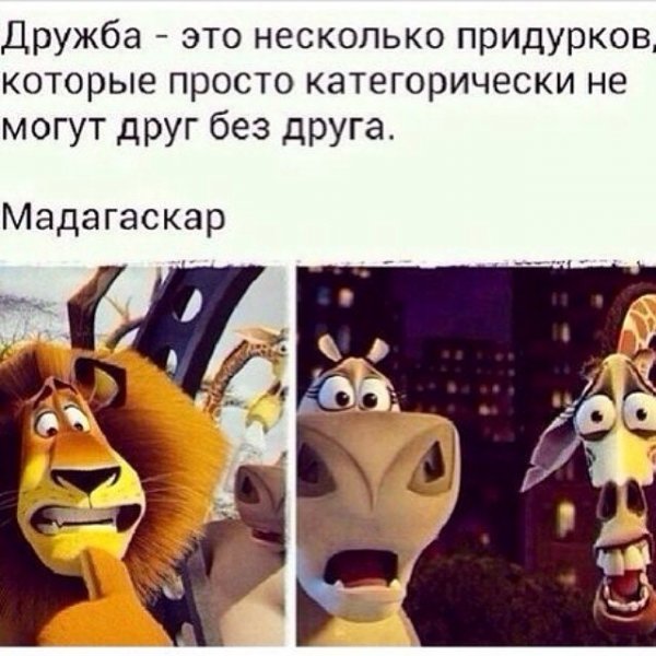 Цитаты из мультфильмов смешные