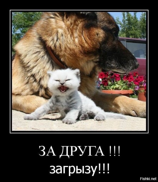Приколы про друзей