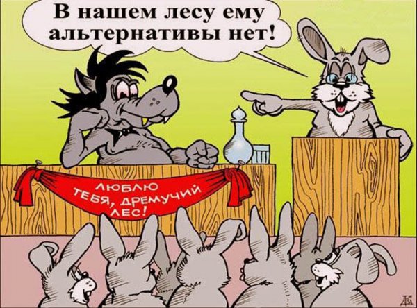 Выборы карикатура