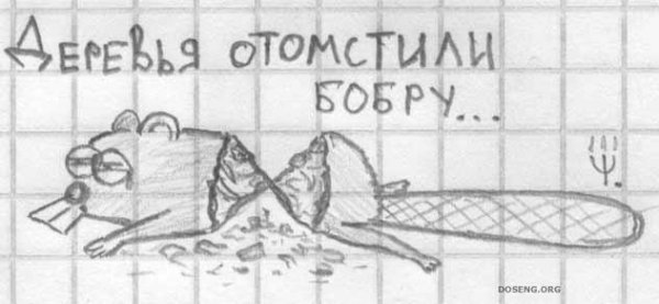 Деревья отомстили бобру
