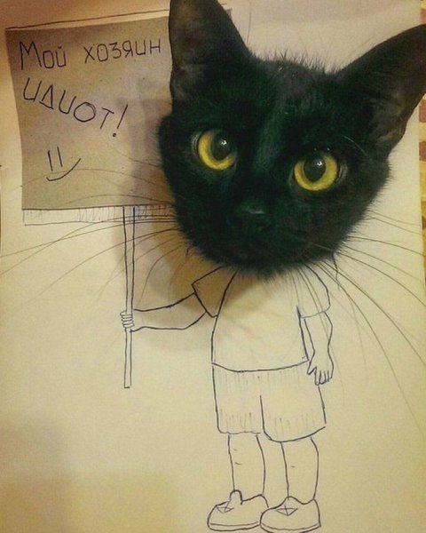 Смешные рисунки с надписями