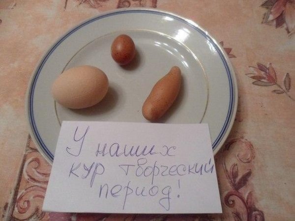 Яйца прикол