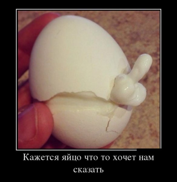Яйца прикол