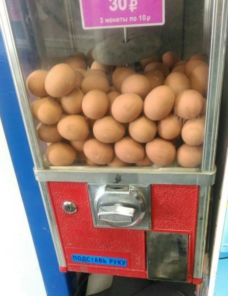 Автоматы с яичками