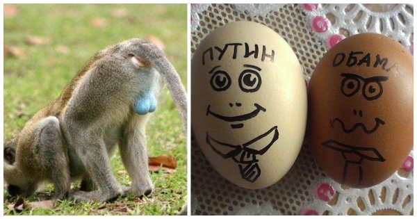 Мужские яйца на Пасху