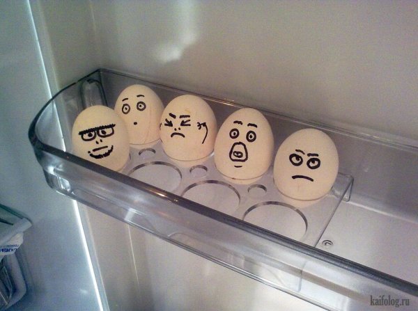 Приколы с яйцами куриными