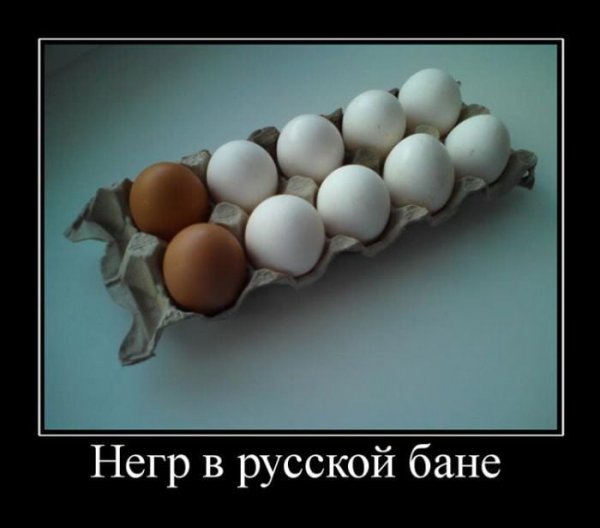 Демотиваторы про яйца