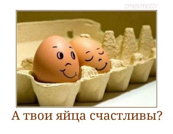 Пасхальные яйца юмор