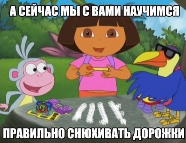 Даша-путешественница приколы