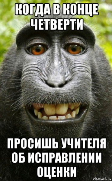 Приколы с окончанием четверти