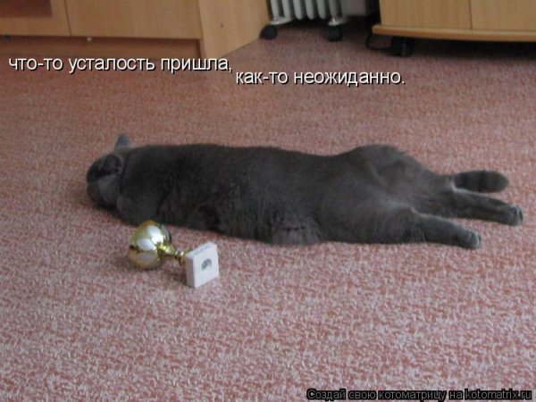 Шутки про усталость