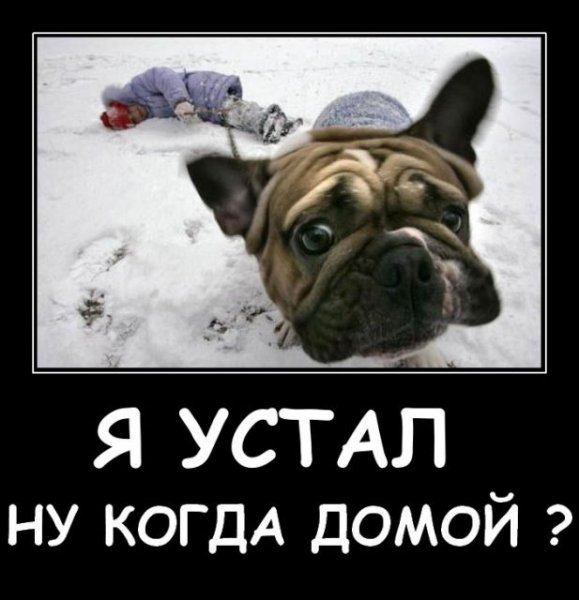 Хочу домой картинки