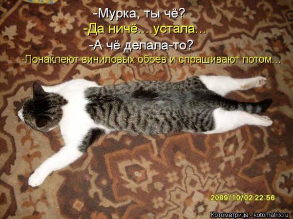 Приколы про усталость