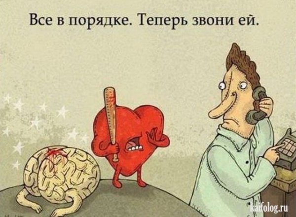 Сердце и мозг любовь