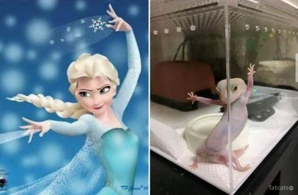 Ящерка из холодного сердца 2