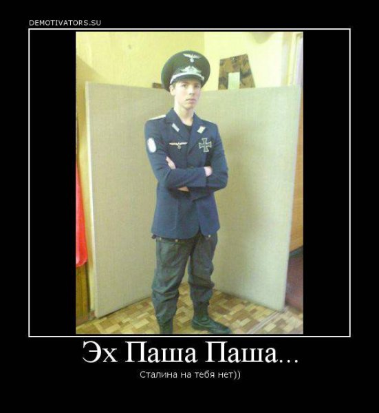 Шутки про Пашу
