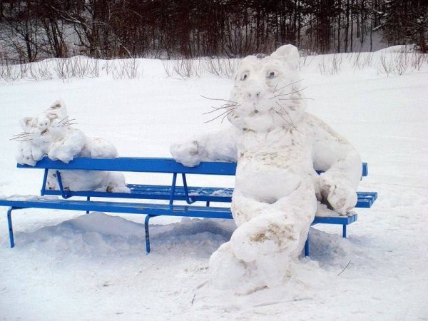 Смешные зимние приколы