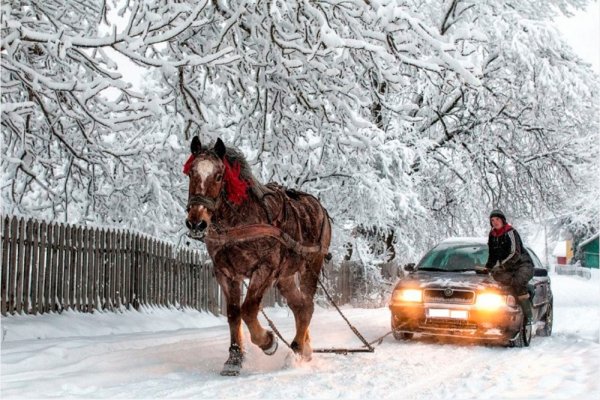 Зимний автоюмор