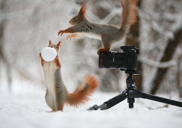 Вадим Трунов фотограф