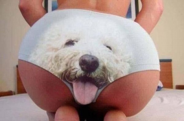 Забавные попы