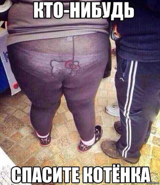 Попа бегемота