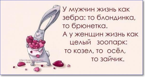 Прикольные картинки с надписями про жизнь