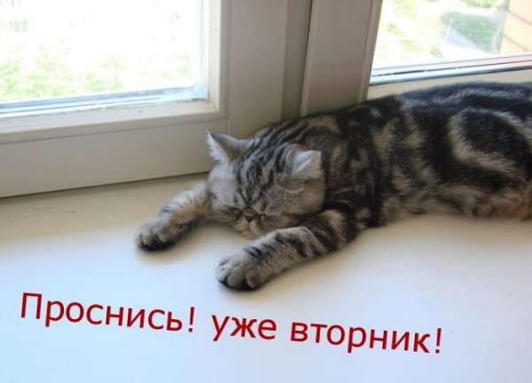 Уже вторник