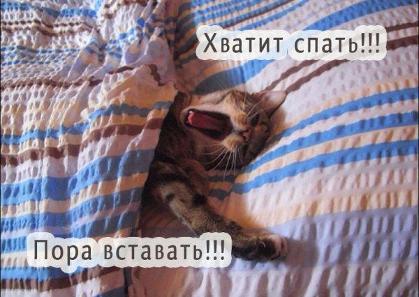 Хватит спать
