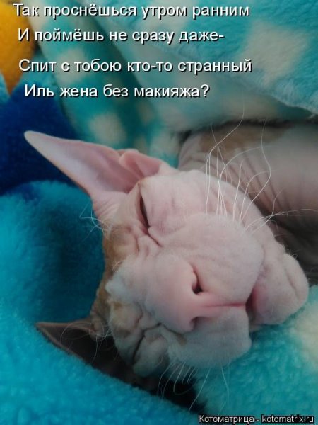 Доброе утро я проснулась